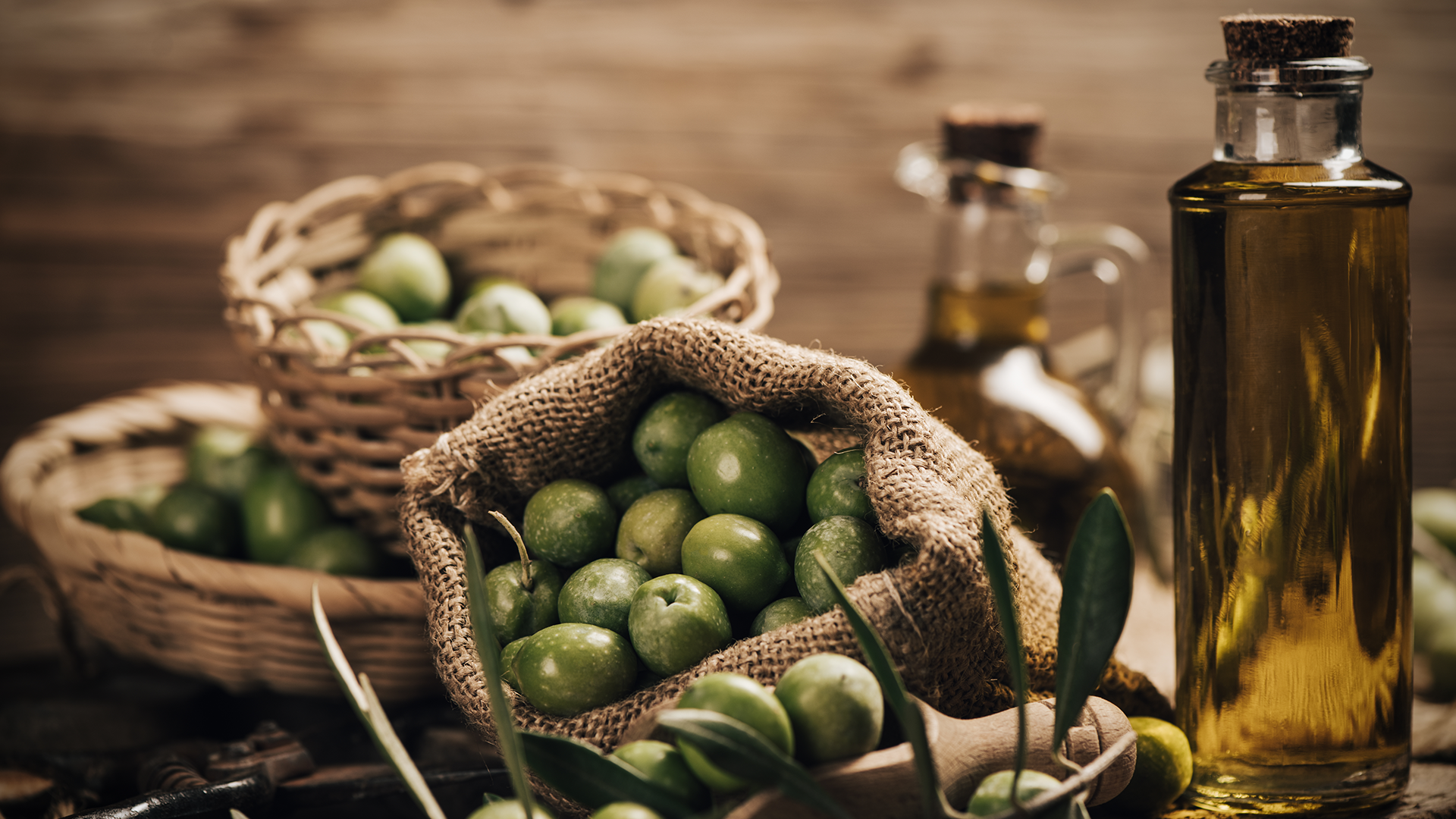 olive-2025-canakkale-slider-img